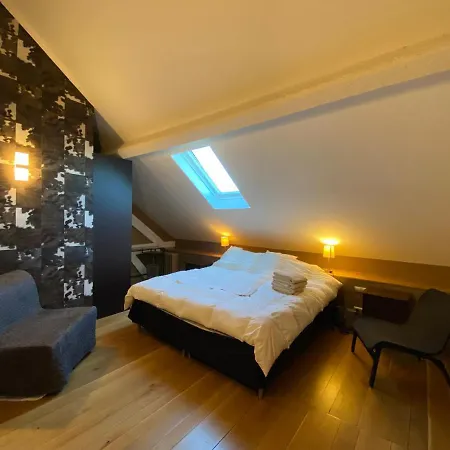 Demeure Saint Louis Historic Manor, City 700M, Parking,A C,Clim,Wifi, Heated Pool, City View 4* Carcassonne