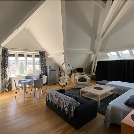 Demeure Saint Louis Historic Manor, Air-Conditioned, Free Private Parking, City 700M, Wifi, View 4*