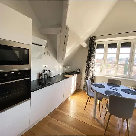 Demeure Saint Louis Historic Manor, 700m, Free Parking,a C,clim,wifi, View, Garden Carcassonne