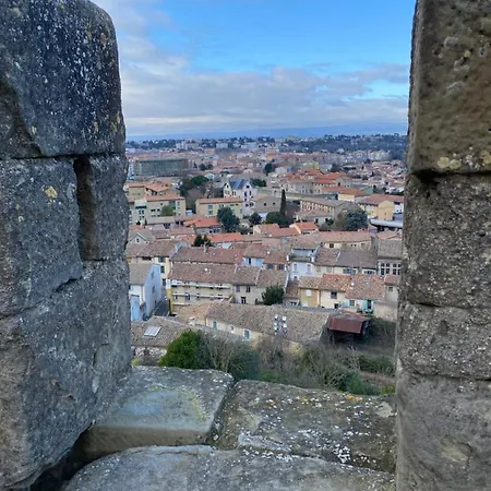 Demeure Saint Louis Historic Manor, 700m, Free Parking,a C,clim,wifi, View, Garden