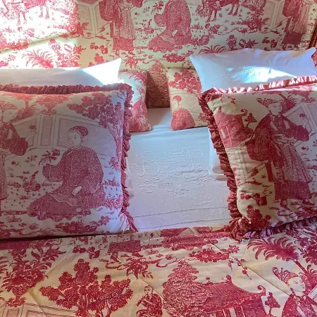 Bed and Breakfast Demeure Saint Louis Historic Manor, 700m, Free Parking,a C,clim,wifi, View, Garden Καρκασόν