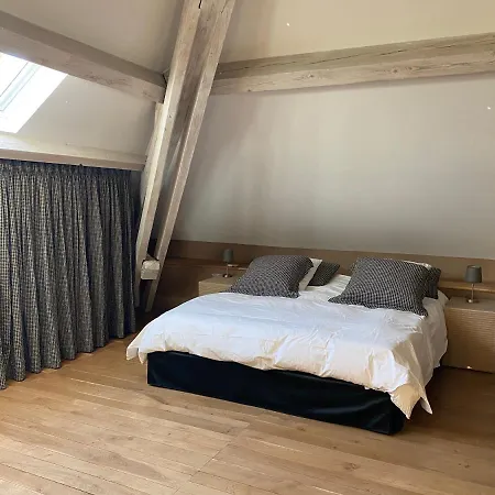 Bed and Breakfast Demeure Saint Louis Historic Manor, 700m, Free Parking,a C,clim,wifi, View, Garden