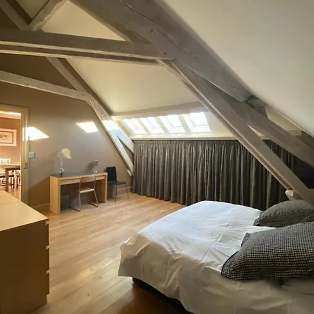 Bed and Breakfast Demeure Saint Louis Historic Manor, 700m, Free Parking,a C,clim,wifi, View, Garden