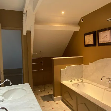 Demeure Saint Louis Historic Manor, 700m, Free Parking,a C,clim,wifi, View, Garden Καρκασόν