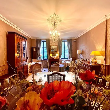 Bed and Breakfast Demeure Saint Louis Historic Manor, 700m, Free Parking,a C,clim,wifi, View, Garden