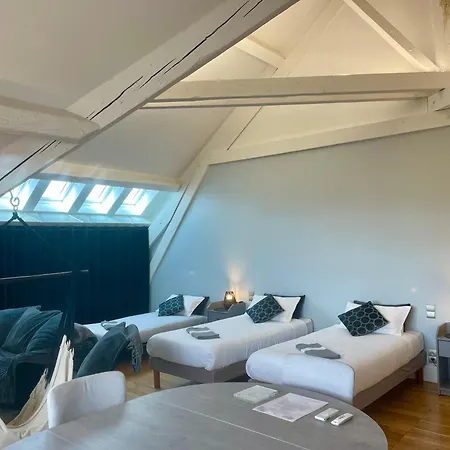 Demeure Saint Louis Historic Manor, Air-Conditioned, Free Private Parking, City 700M, Wifi, View Bed & Breakfast Carcassonne