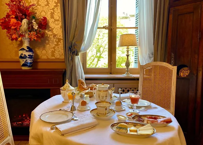 Demeure Saint Louis Historic Manor, 700m, Free Parking,a C,clim,wifi, View, Garden Carcassonne