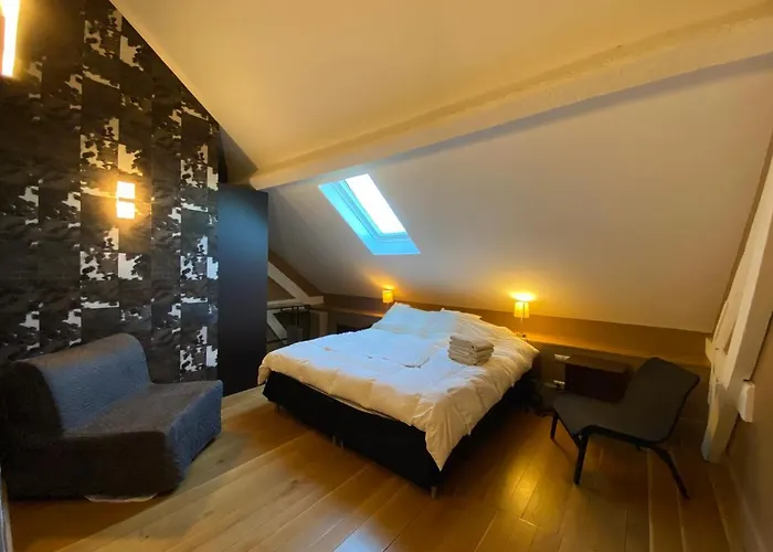 Demeure Saint Louis Historic Manor, 700m, Free Parking,a C,clim,wifi, View, Garden 4* Carcassonne