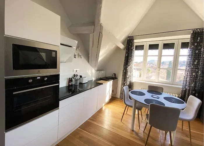 Demeure Saint Louis Historic Manor, 700m, Free Parking,a C,clim,wifi, View, Garden Carcassonne