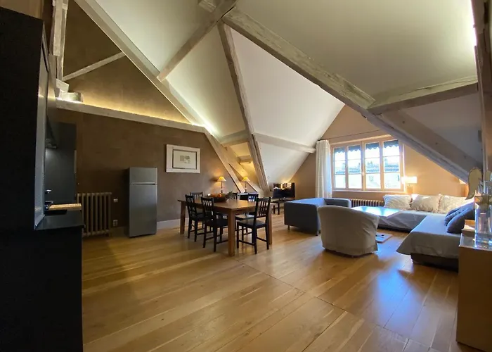 Demeure Saint Louis Historic Manor, 700m, Free Parking,a C,clim,wifi, View, Garden Carcassonne