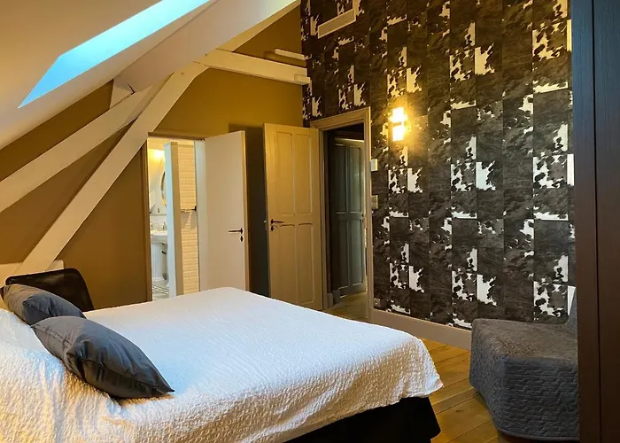 Demeure Saint Louis Historic Manor, 700m, Free Parking,a C,clim,wifi, View, Garden 4*