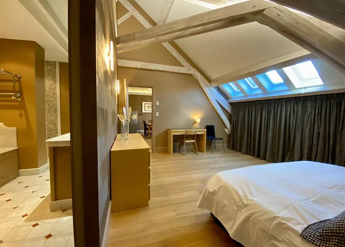 Oda ve Kahvaltı Demeure Saint Louis Historic Manor, 700m, Free Parking,a C,clim,wifi, View, Garden Carcassonne