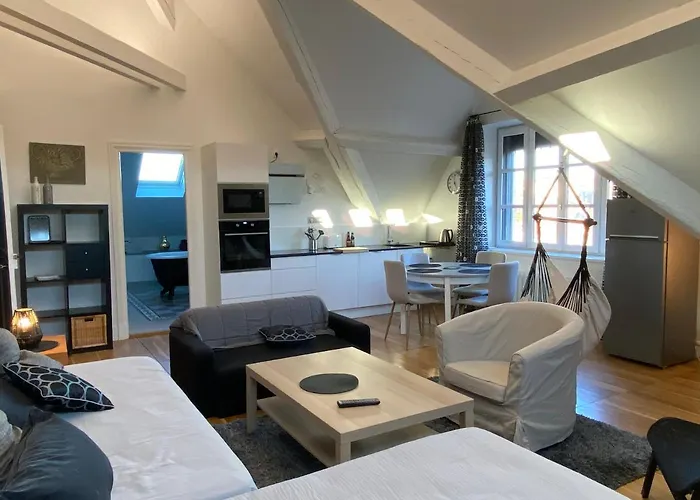 Oda ve Kahvaltı Demeure Saint Louis Historic Manor, 700m, Free Parking,a C,clim,wifi, View, Garden