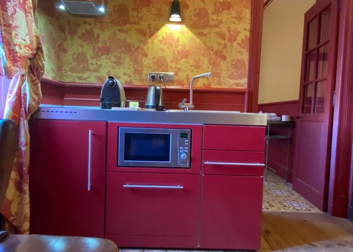 Demeure Saint Louis Historic Manor, 700m, Free Parking,a C,clim,wifi, View, Garden 4* Carcassonne