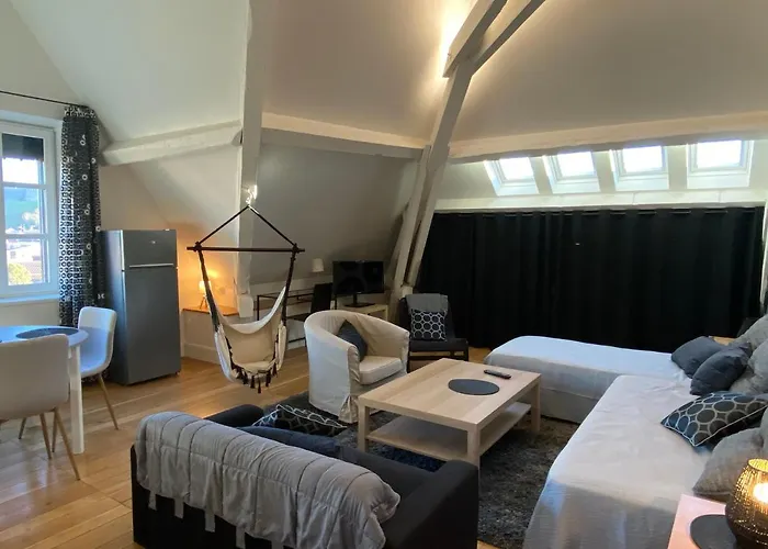 Demeure Saint Louis Historic Manor, 700m, Free Parking,a C,clim,wifi, View, Garden Oda ve Kahvaltı Carcassonne
