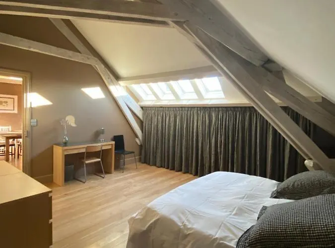 Oda ve Kahvaltı Demeure Saint Louis Historic Manor, 700m, Free Parking,a C,clim,wifi, View, Garden