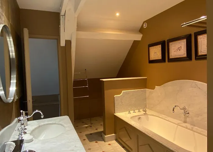 Demeure Saint Louis Historic Manor, 700m, Free Parking,a C,clim,wifi, View, Garden Carcassonne
