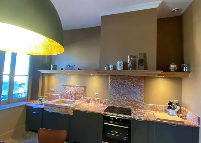 Demeure Saint Louis Historic Manor, 700m, Free Parking,a C,clim,wifi, View, Garden Carcassonne