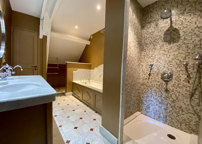 Demeure Saint Louis Historic Manor, 700m, Free Parking,a C,clim,wifi, View, Garden Oda ve Kahvaltı Carcassonne